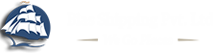 BIAS SHIPPING Logo
